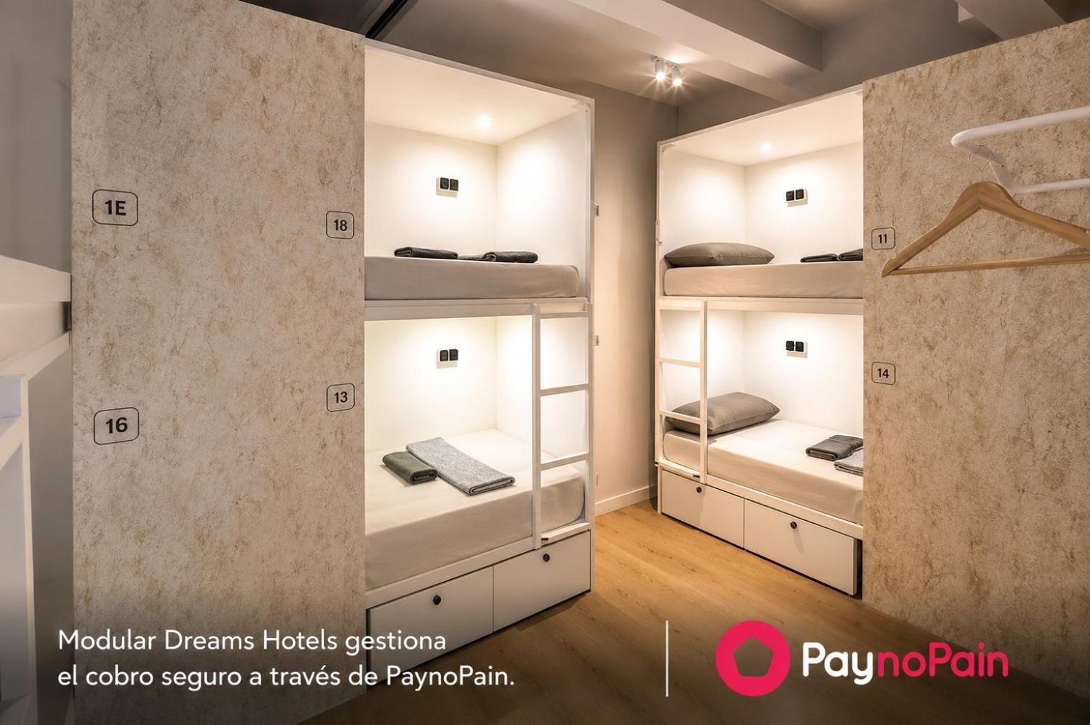 Bunk Bed Mixed Dormitory Room