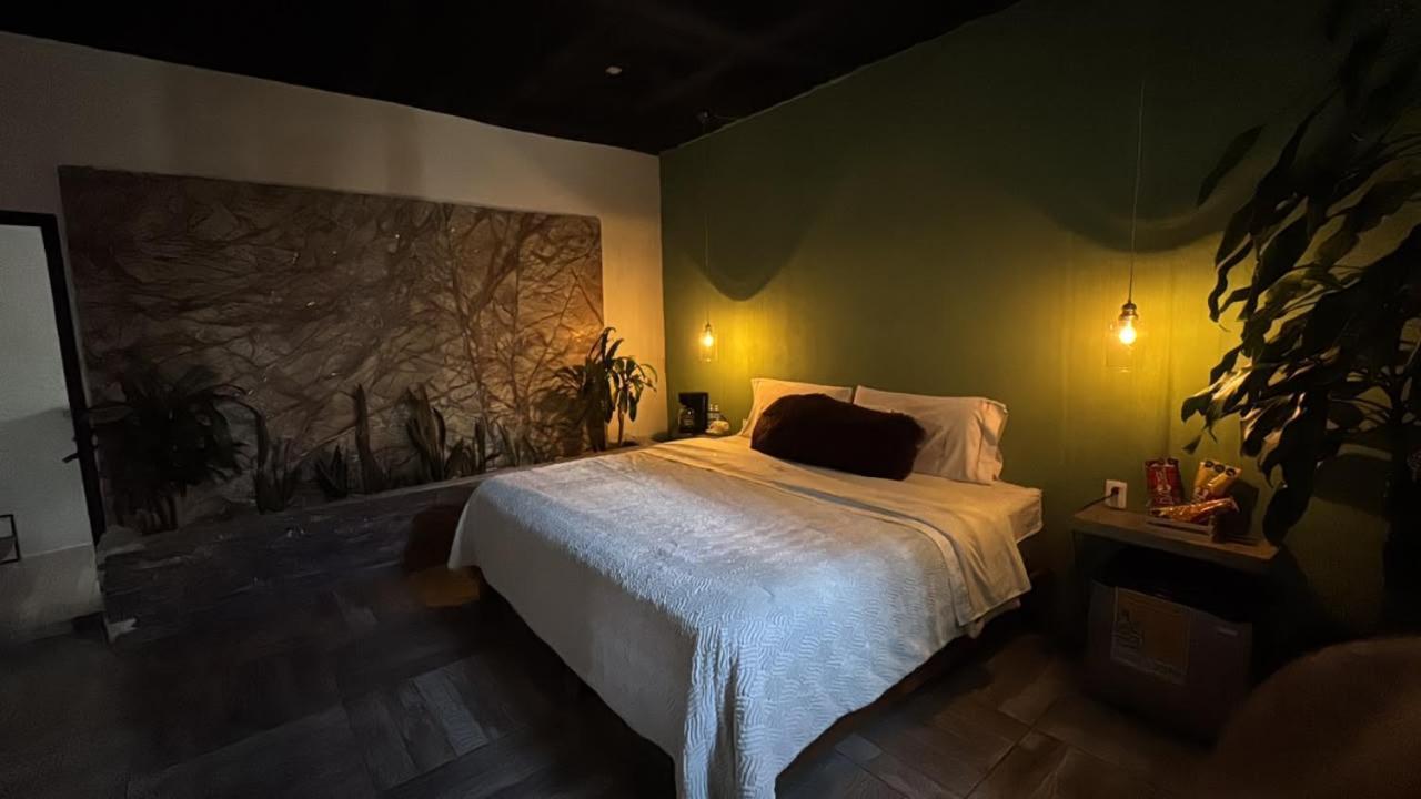 Habitación con vistas a la piscina - 1 cama grande