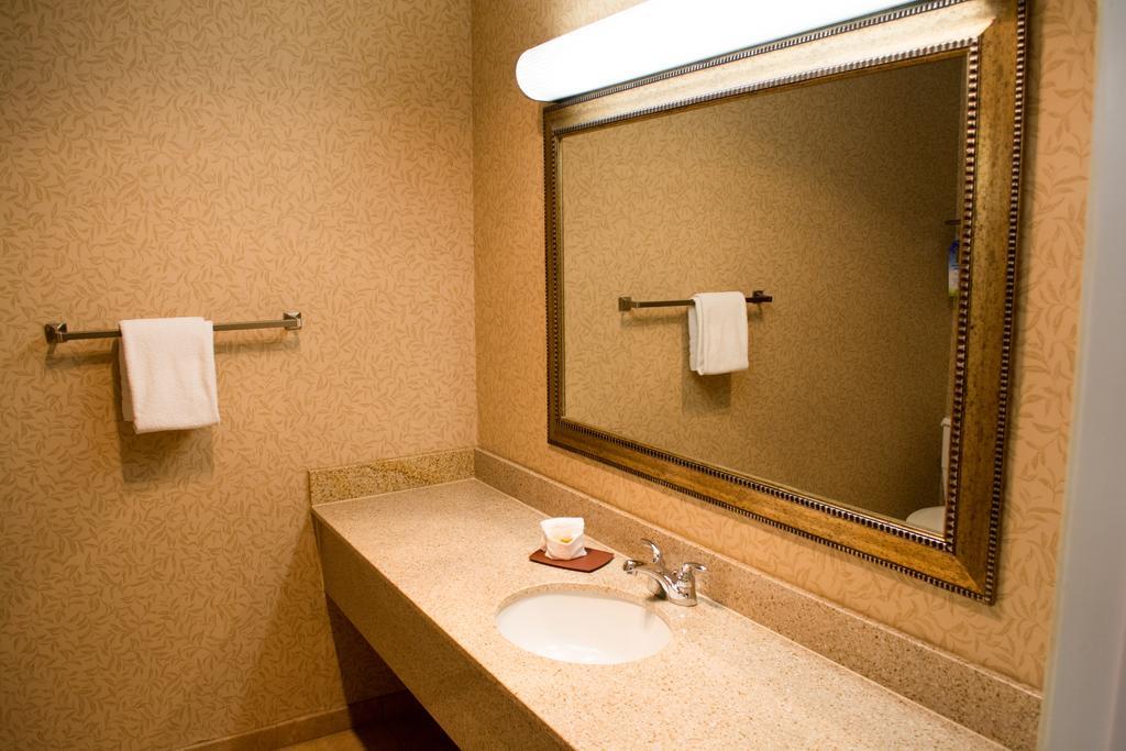 Single Room,646873398:JPEG