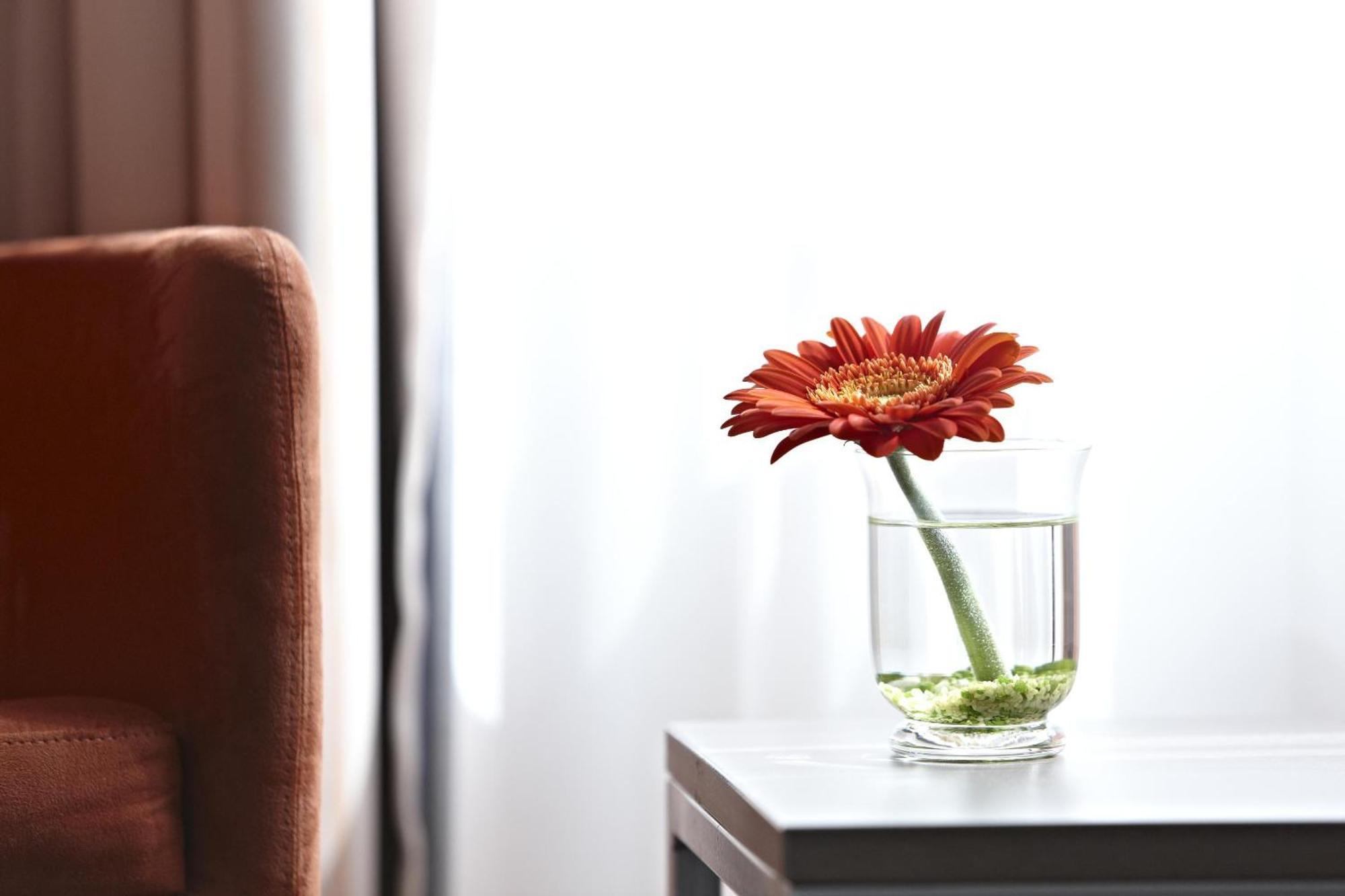 Superior Queen Room,1277045857:JPEG