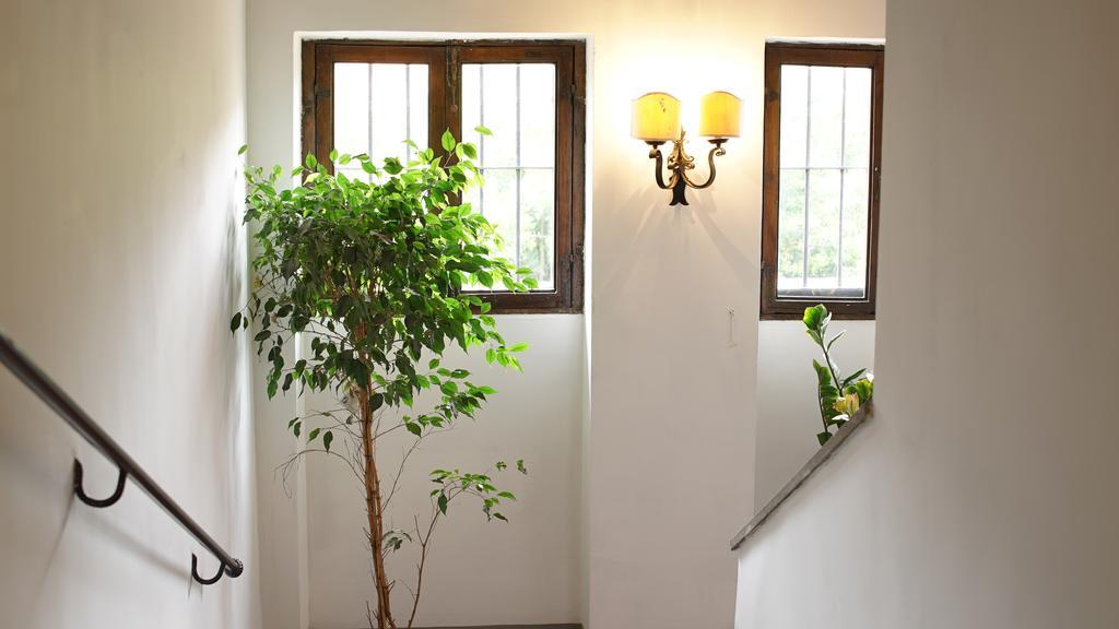 Studio Terrace,878699897:JPEG