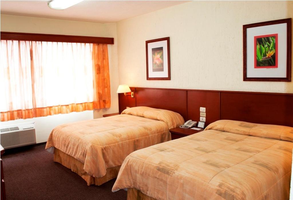 Superior Double Room,709857361:JPEG