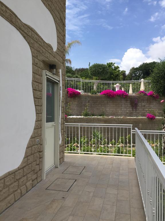 Studio Garden View
