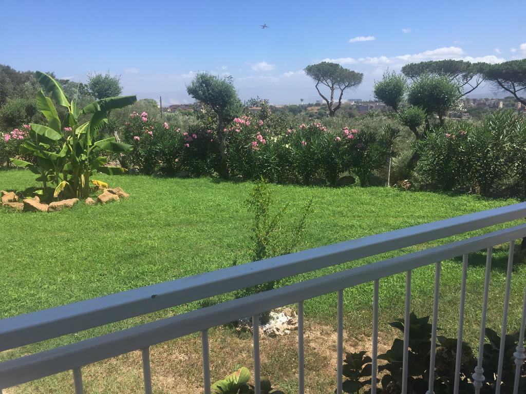 Studio Garden View