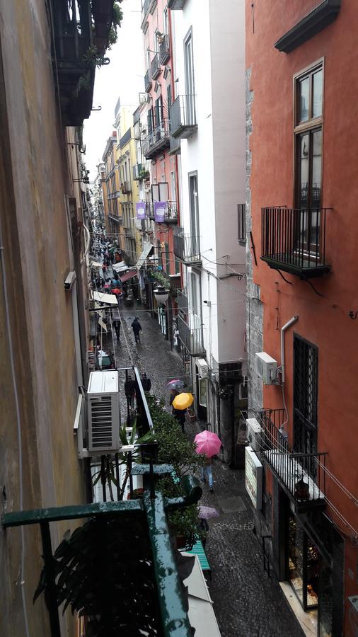 Quadruple Room Balcony,929341387:JPEG