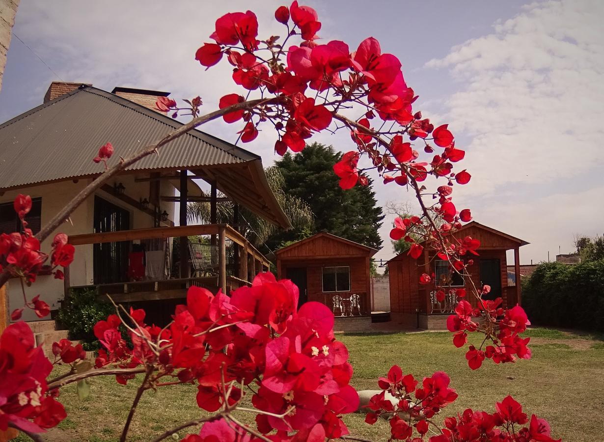 Chalet de 1 dormitorio