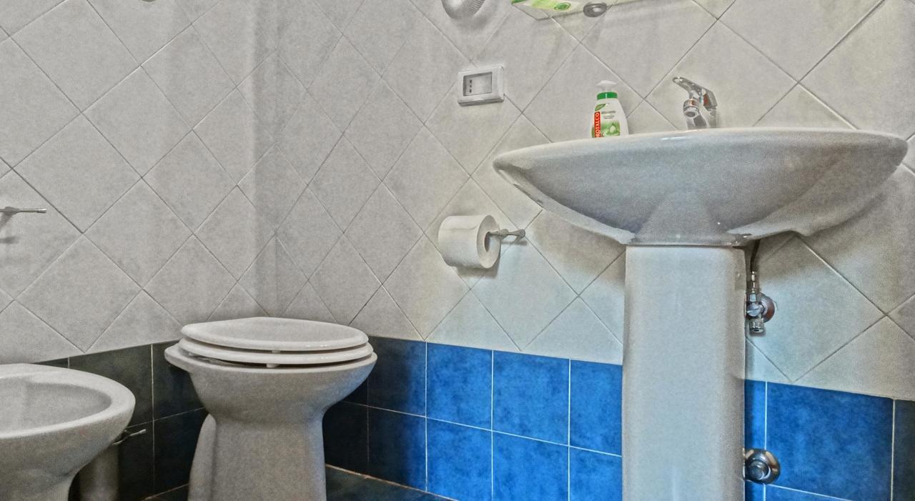 Triple Room,639232566:JPEG