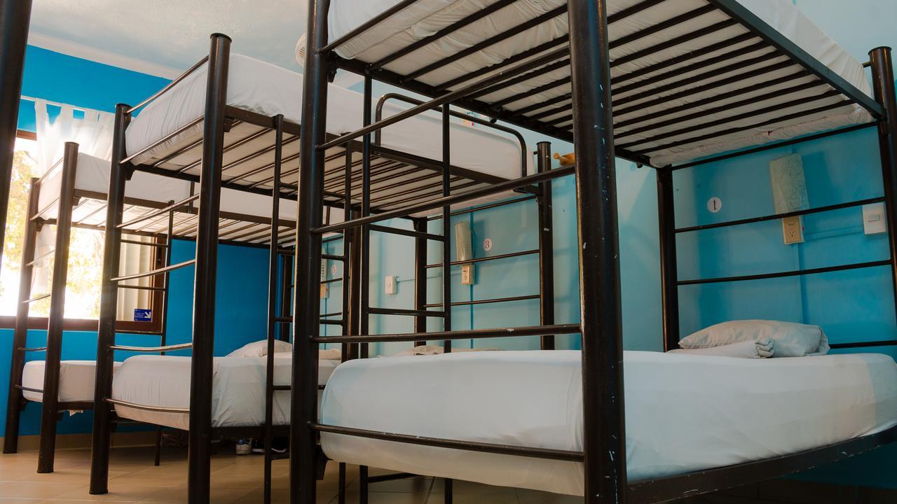Single Bed Mixed Dormitory Room
