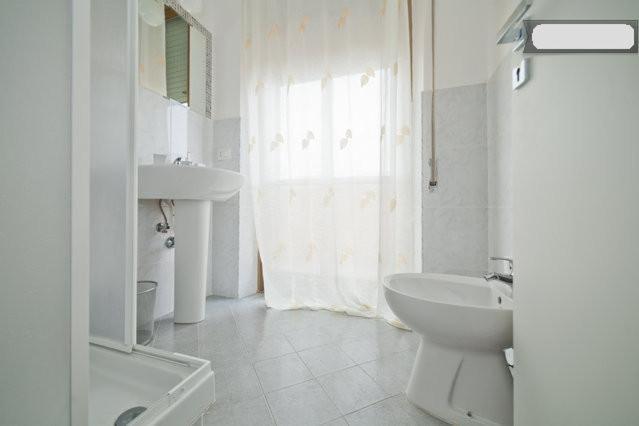 Comfort Triple Room with Shower,65811421:JPEG