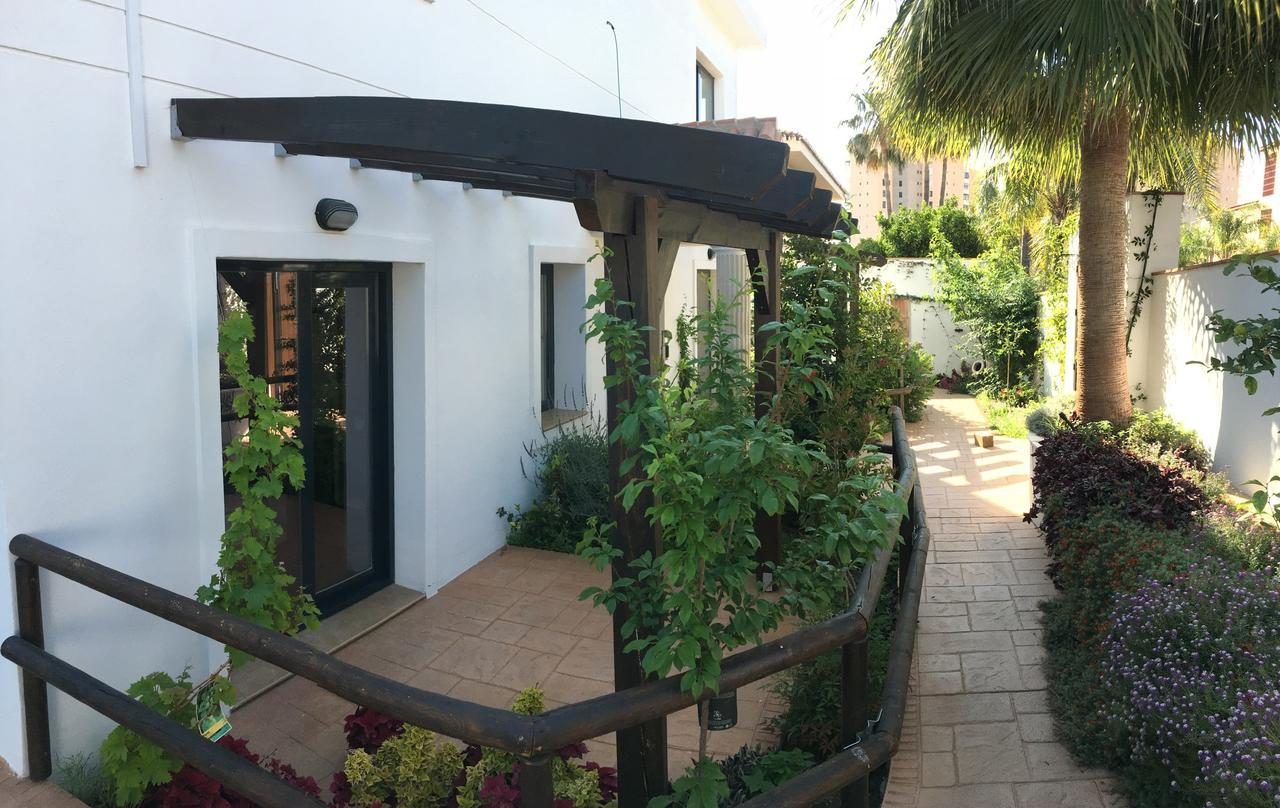 Double Room with Terrace,655418040:JPEG