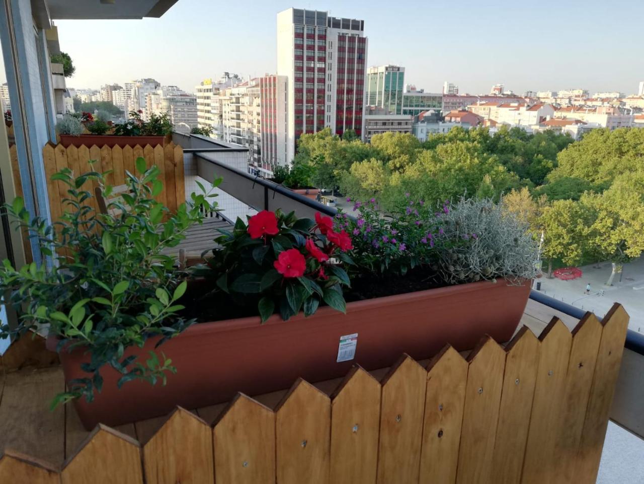 Comfort Suite Balcony,718661578:JPEG