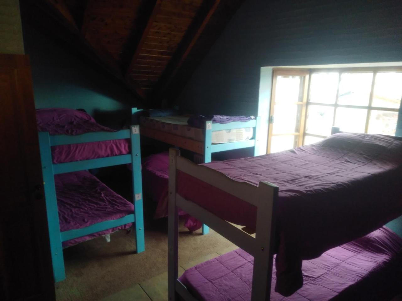 Bed 6-Bed Dormitory Room,1771891948:JPEG