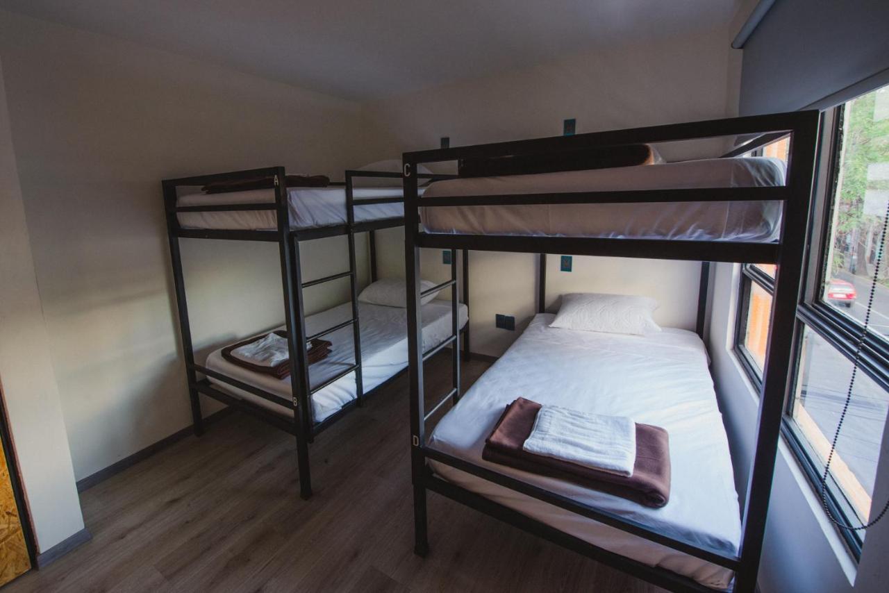 Bunk Bed Mixed Dormitory Room,740918074:JPEG