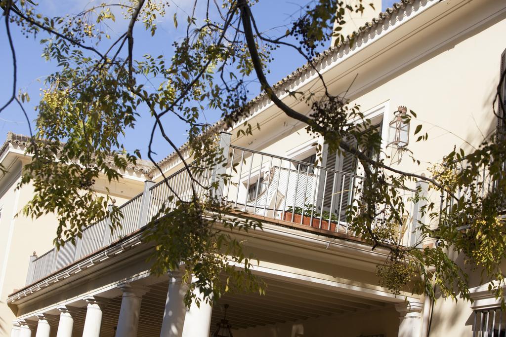 Suite Junior con vistas al jardín