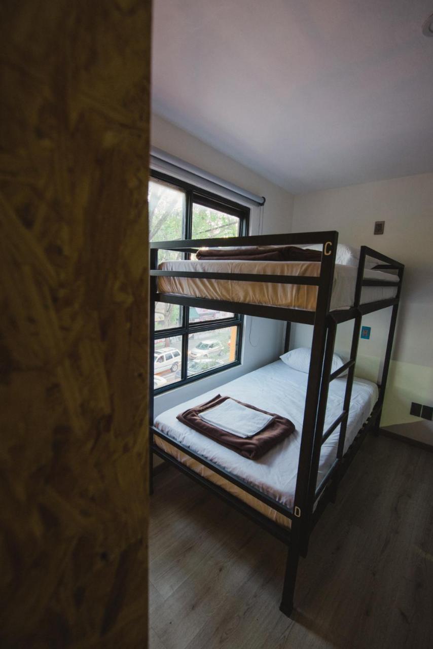 Bunk Bed Mixed Dormitory Room,844139228:JPEG