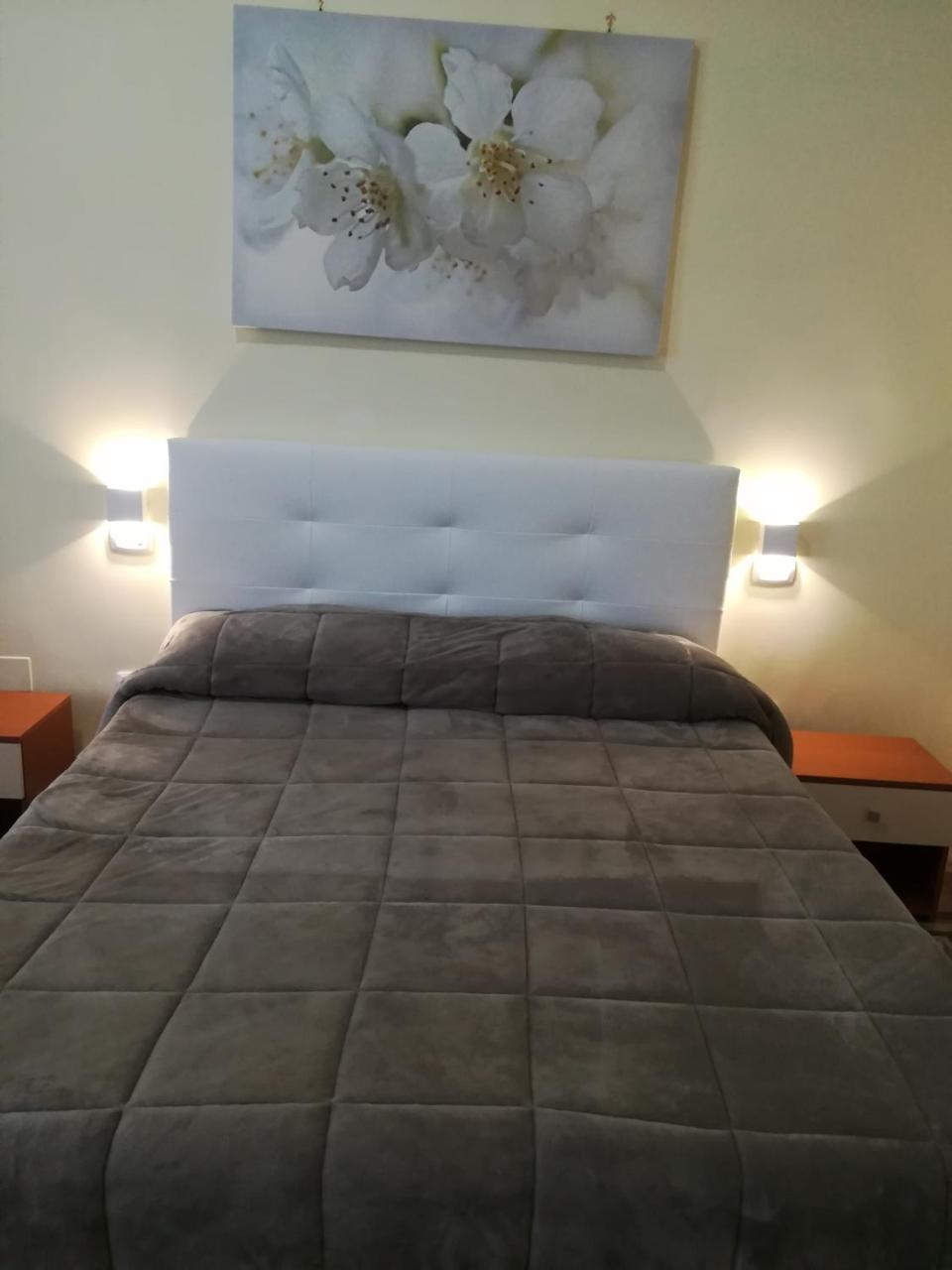 Double or Twin Room,761643145:JPEG
