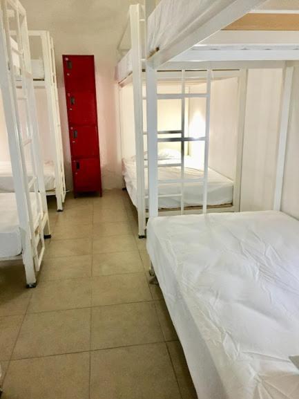 Single Bed 10-Bed Dormitory Room,537515943:JPEG