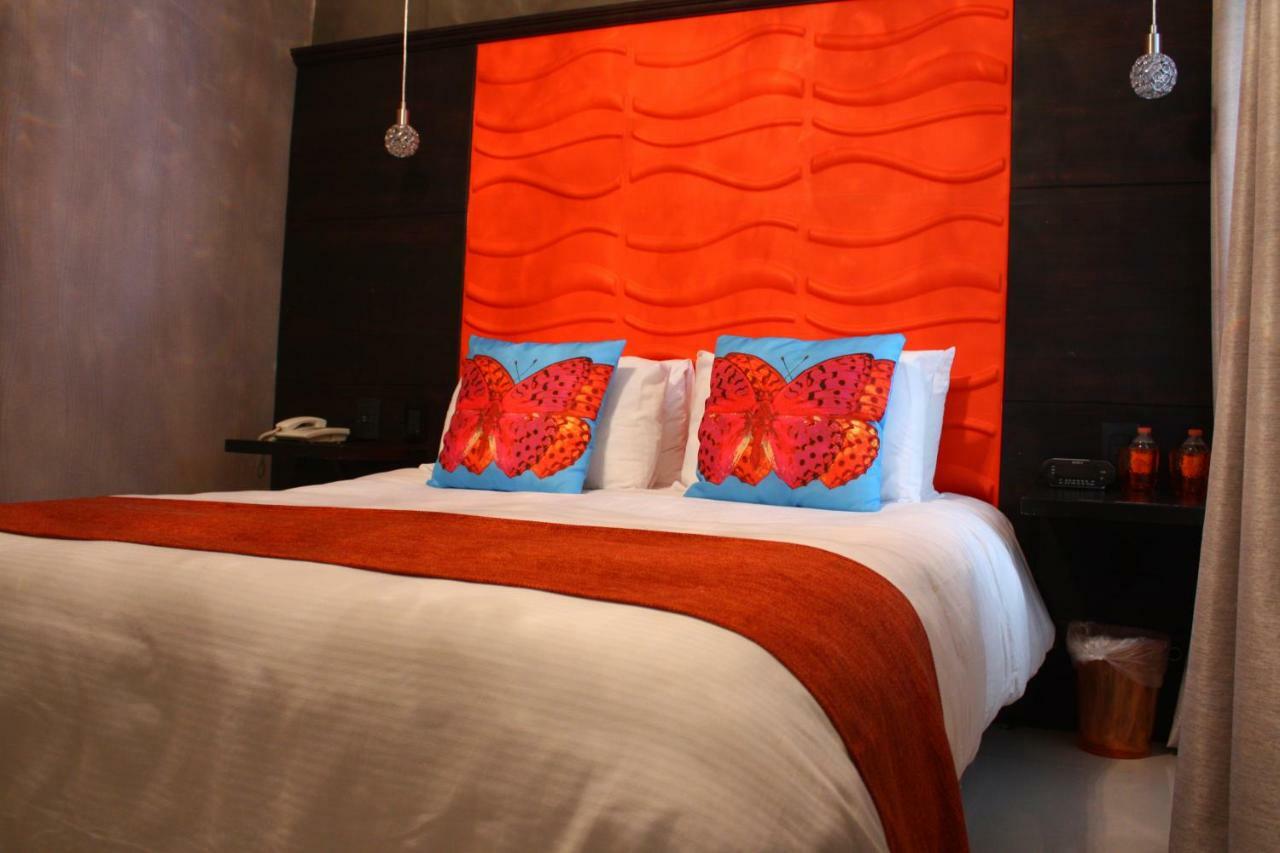 Standard Double Room,780848940:JPEG