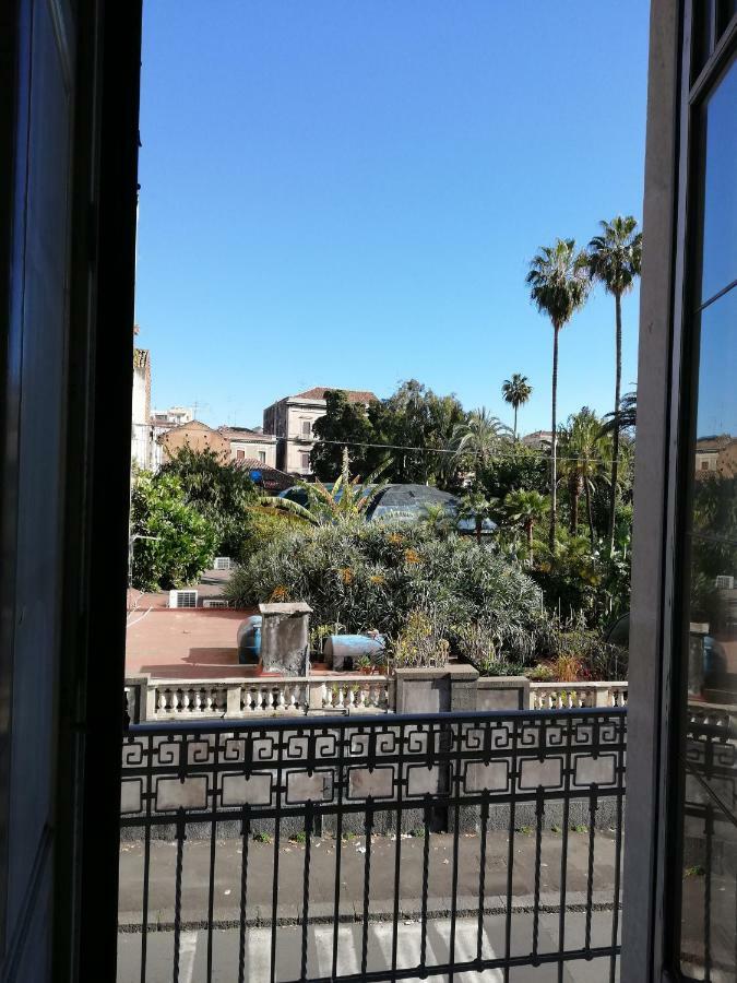 King Room Balcony,954850717:JPEG