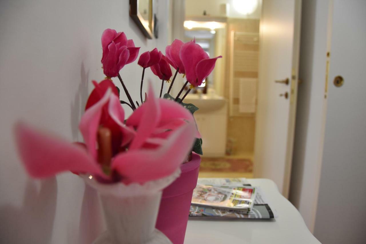 Double or Twin Room,844067636:JPEG