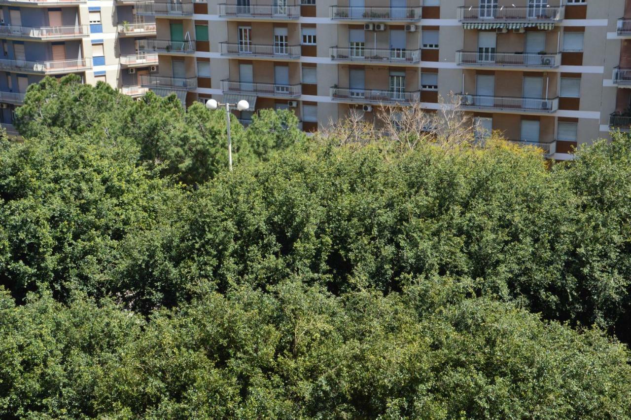 Double Room Balcony,851976404:JPEG