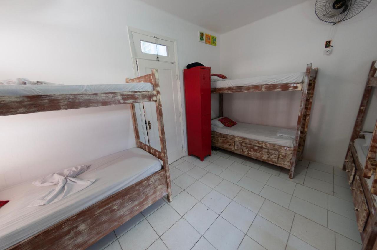 Bunk Bed Mixed Dormitory Room