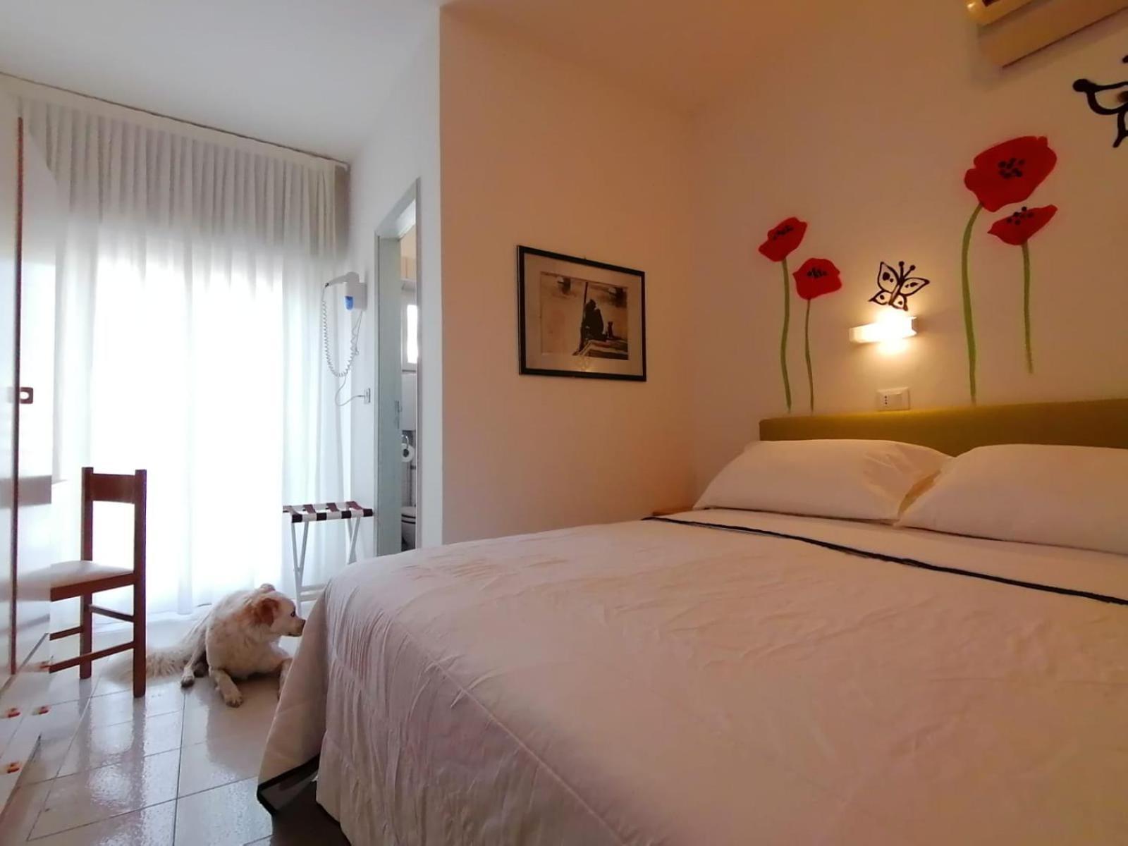 Quadruple Room,976881631:JPEG