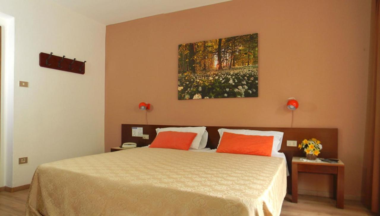 Double or Twin Room,150769297:JPEG