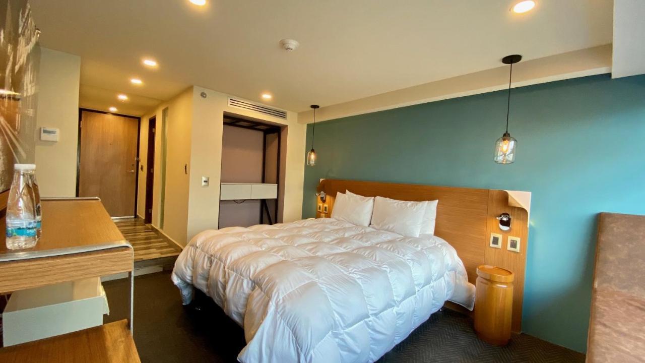 Standard Double Room,924597064:JPEG