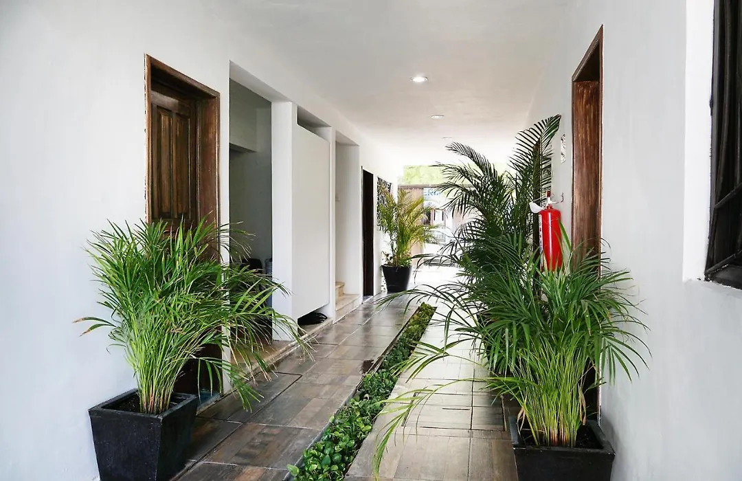 Red Panda Hostal-1