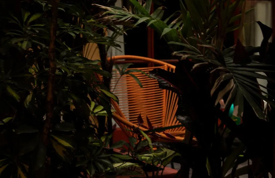 The Red Tree House-1