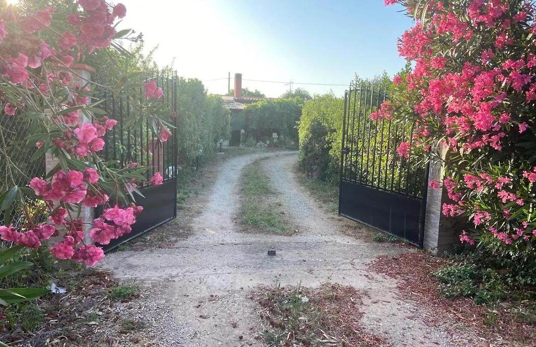 Casa Vacanze Gli Oleandri-1
