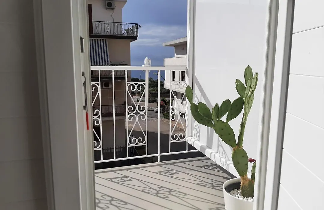 B&B Joele-1