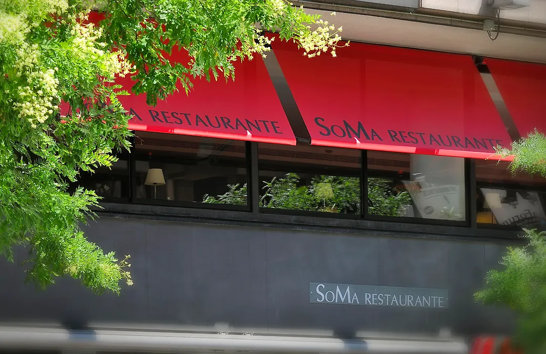 Vincci Soma-1