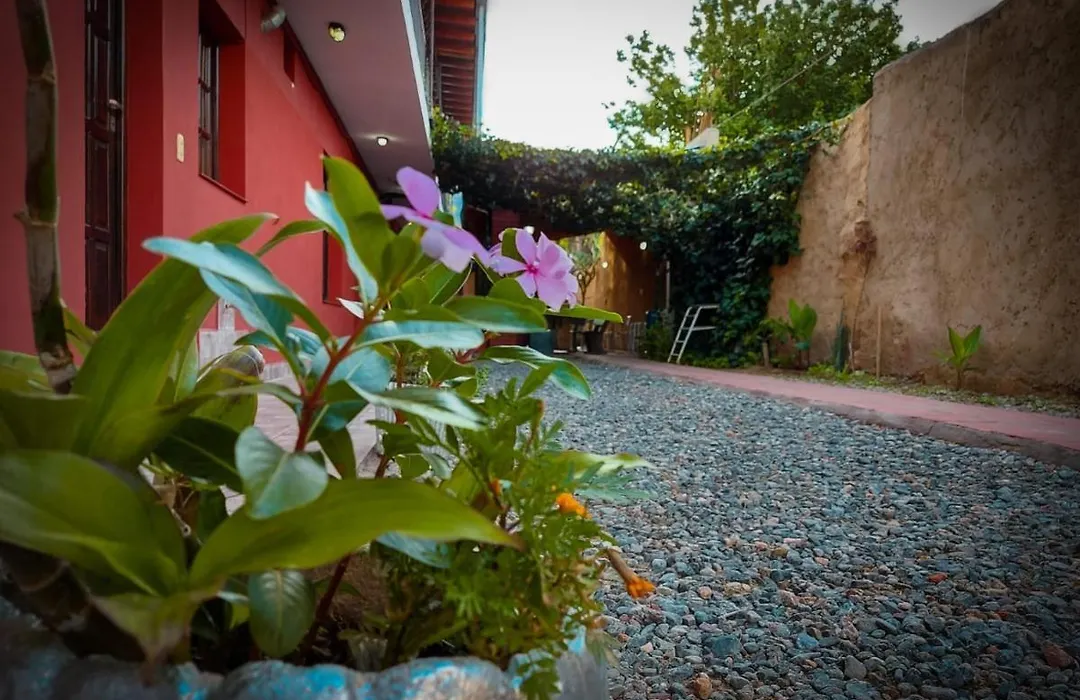 Apart Hotel Don Benito-1