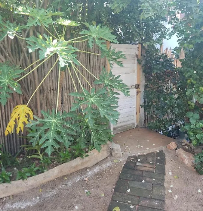 Casa Tonantzin-1