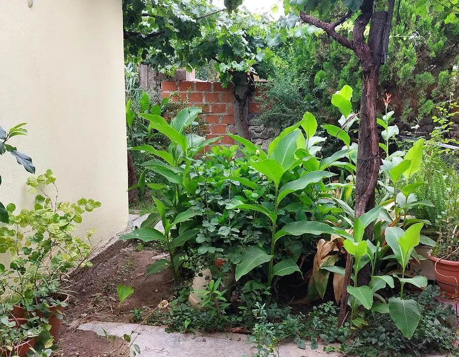 Hostal Killari-1