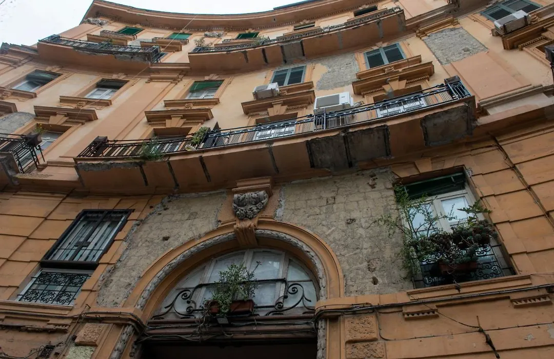 Vivi A Napoli-1