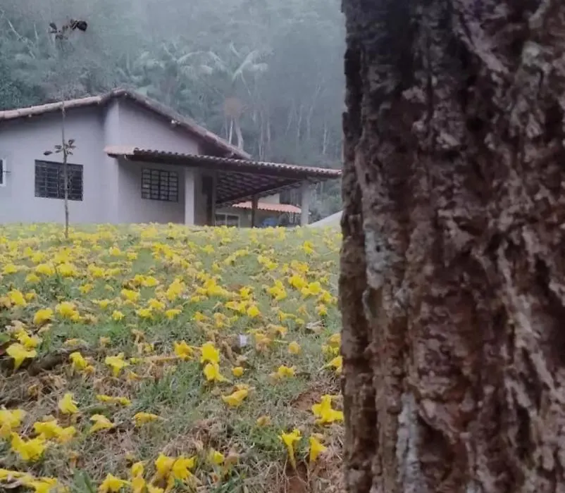 Sítio Recanto do Ipê-1