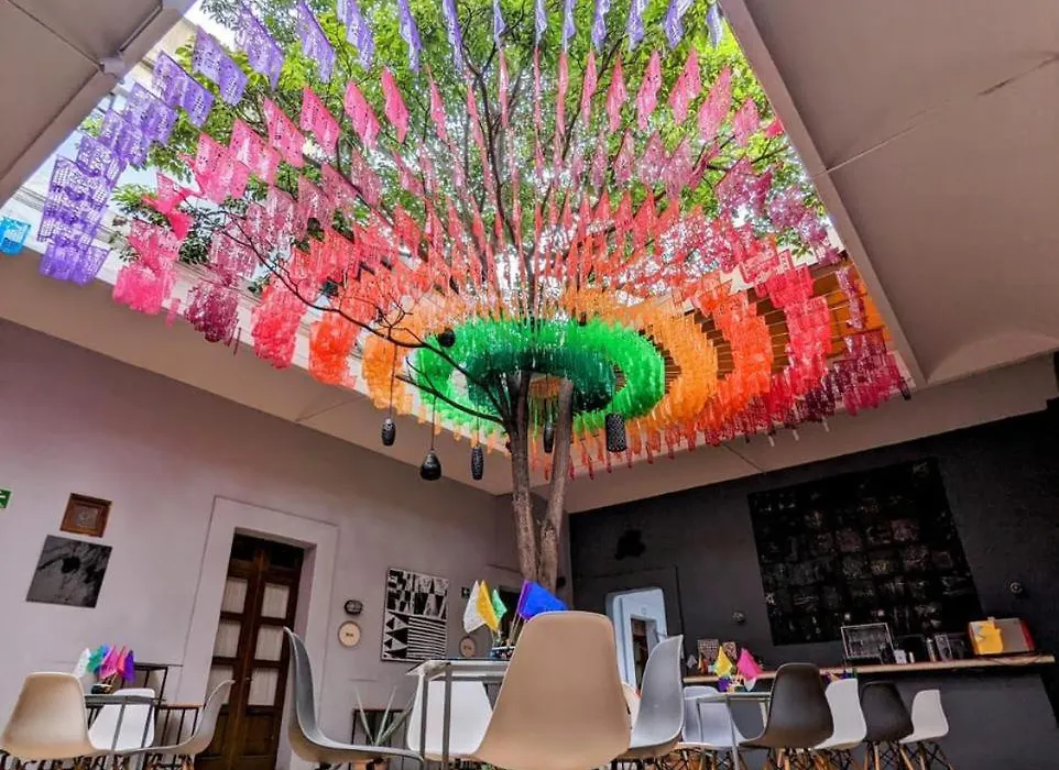 BKL Hotel Oaxaca-1