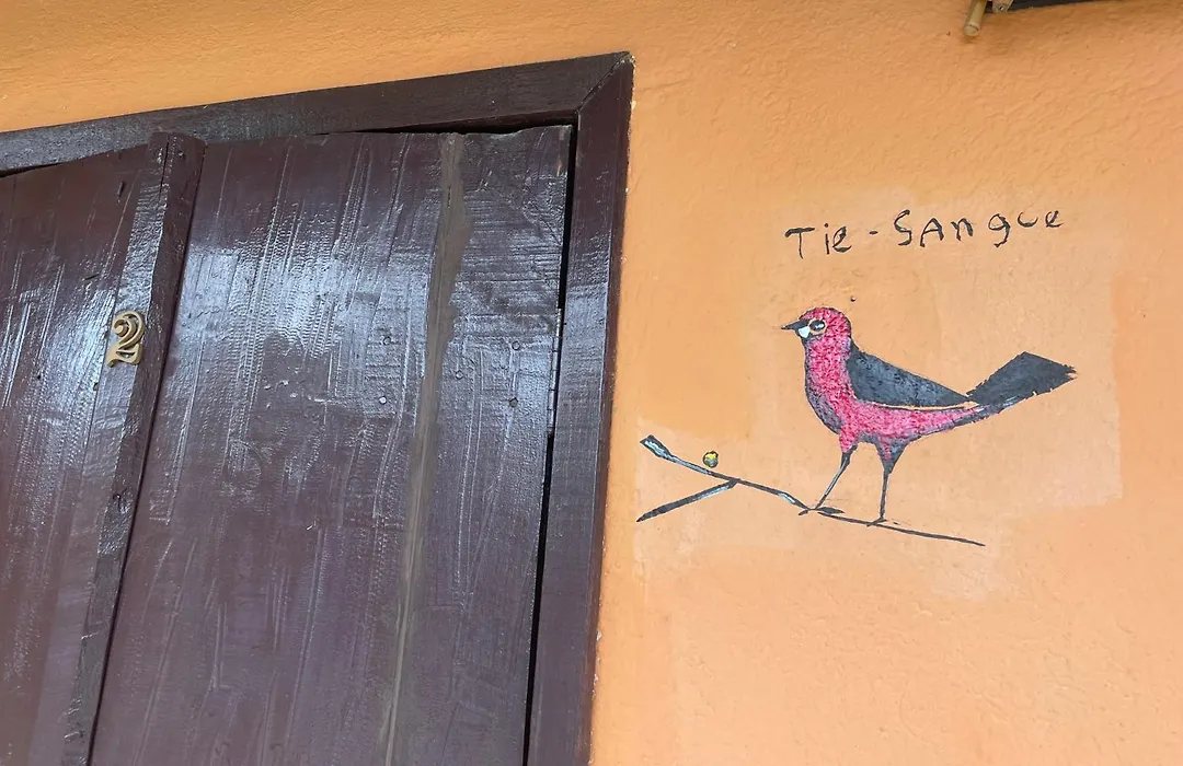Casa Macabea-1