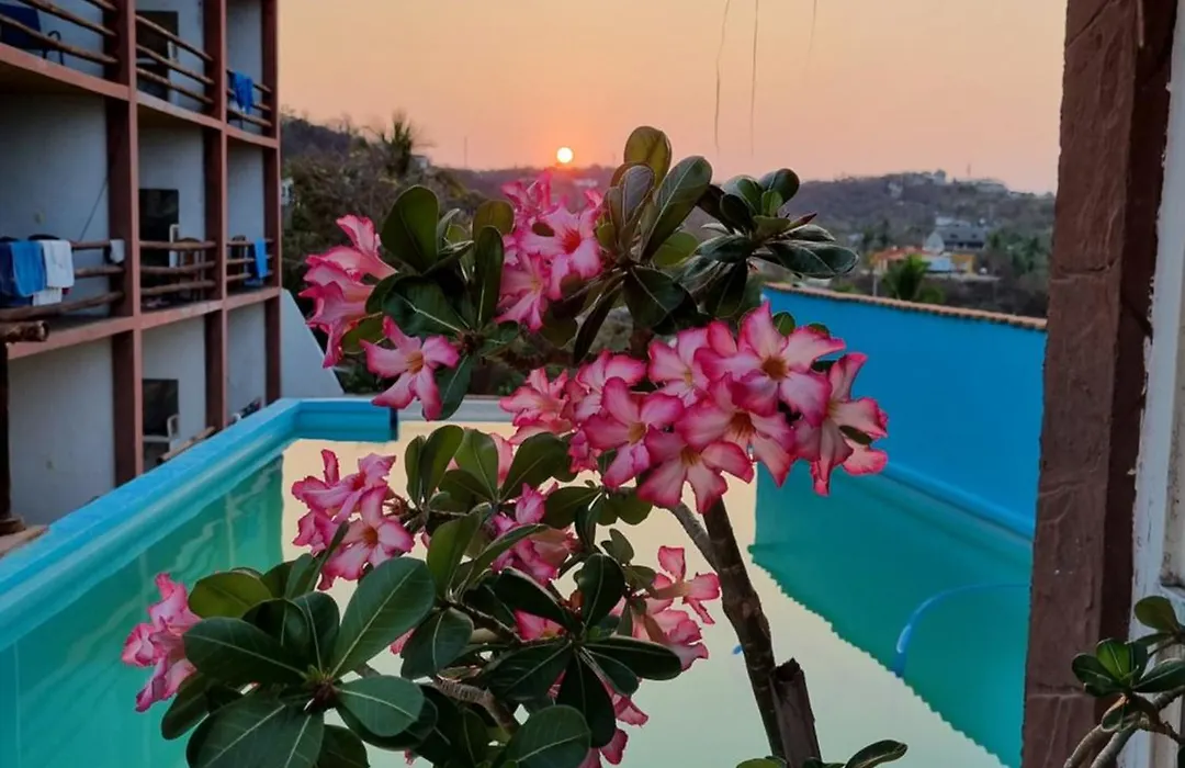 Namasté Zipolite Suites-1