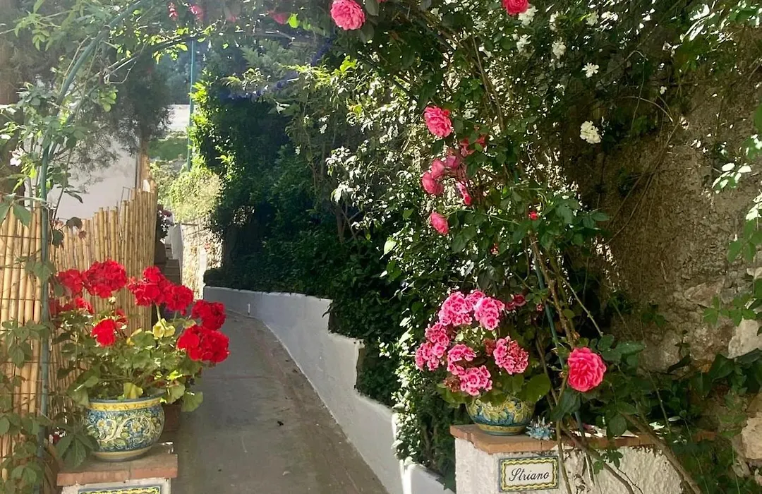 Villa Striano Capri - Guest House - Rooms Garden&Art-1