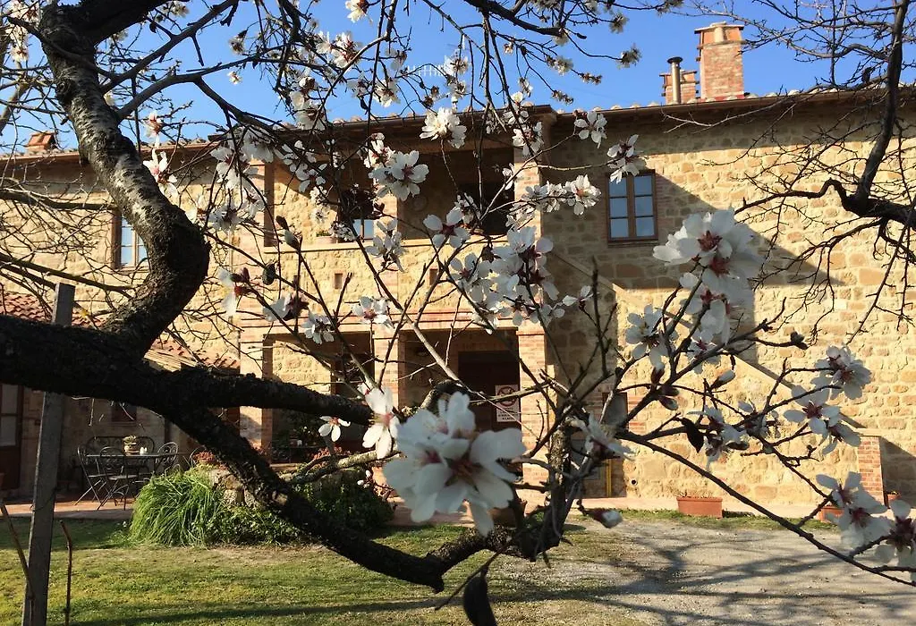 Agriturismo Podere San Gregorio-1