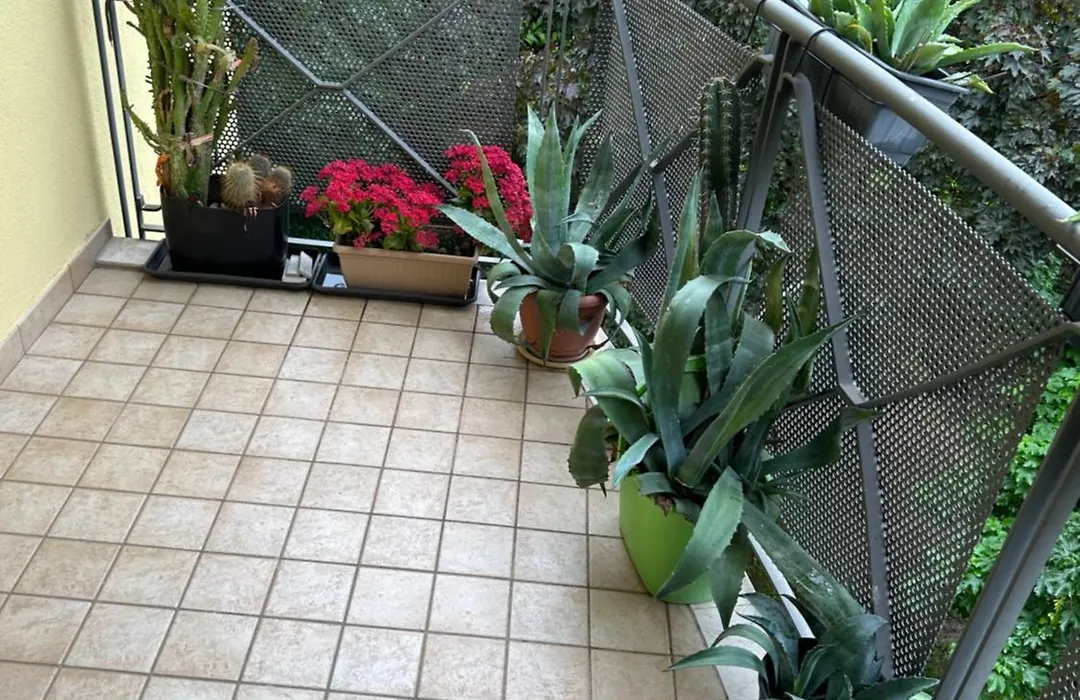 Residence Tevere-1