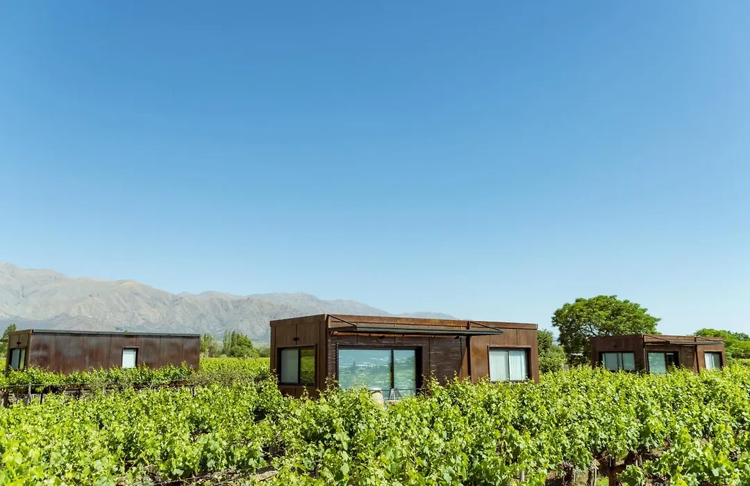 El Porvenir Wine Lodge-1