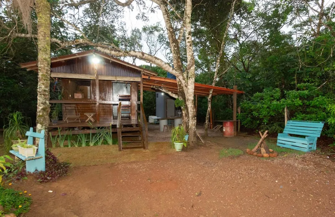 Casa das violetas-1