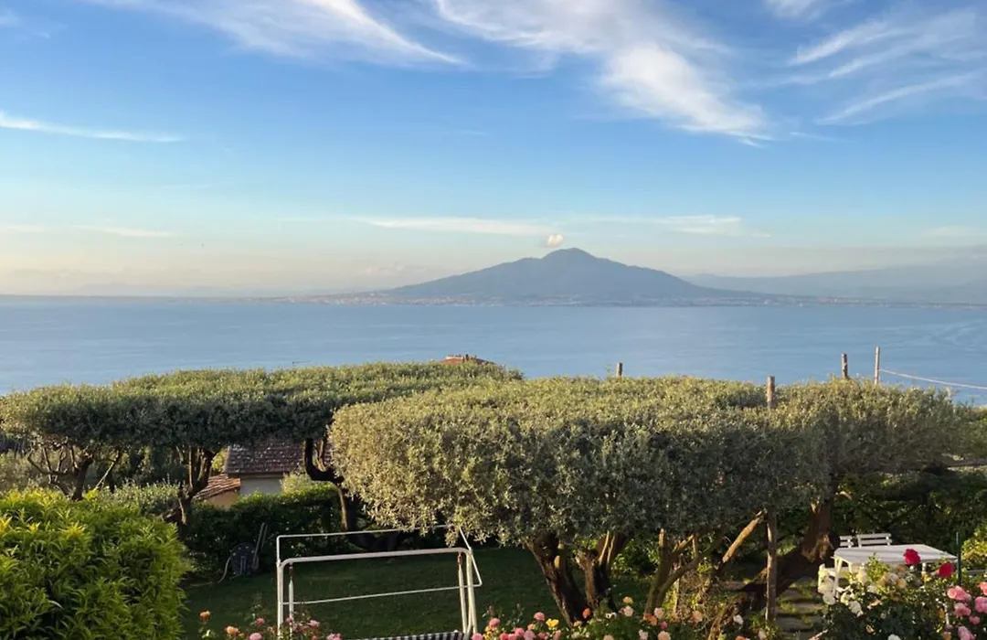 Sorrento Garden-1