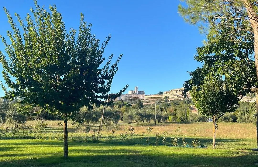 camere Rosignoli-1