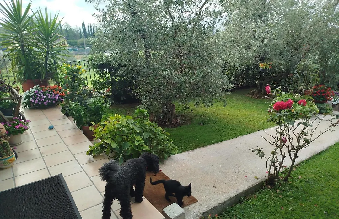 Villa Maria Paola Resort - Bed&Breakfast Isernia-1